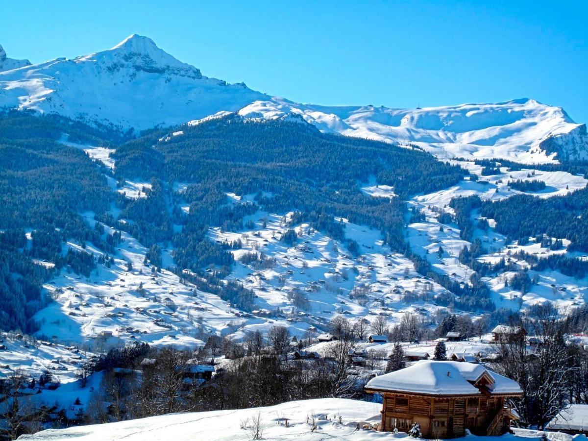 Apartment Schwendi 3 Grindelwald Esterno foto